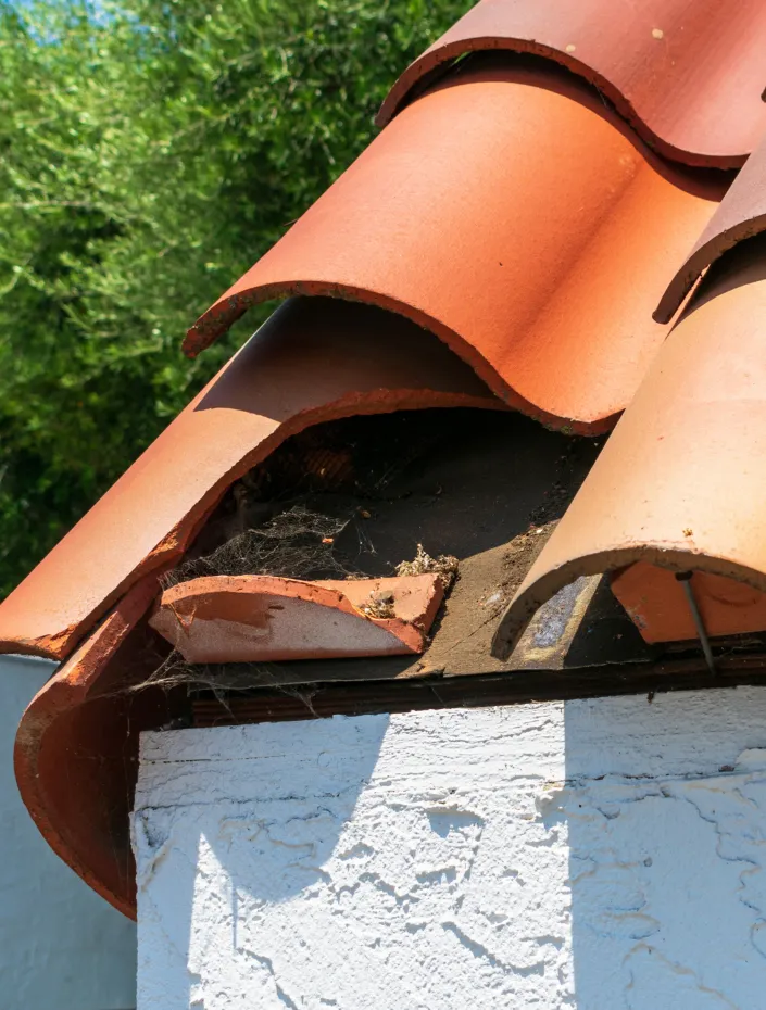 toiture défectueuse à sète